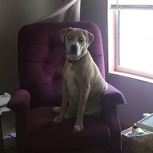 Meet your Posher, Robert